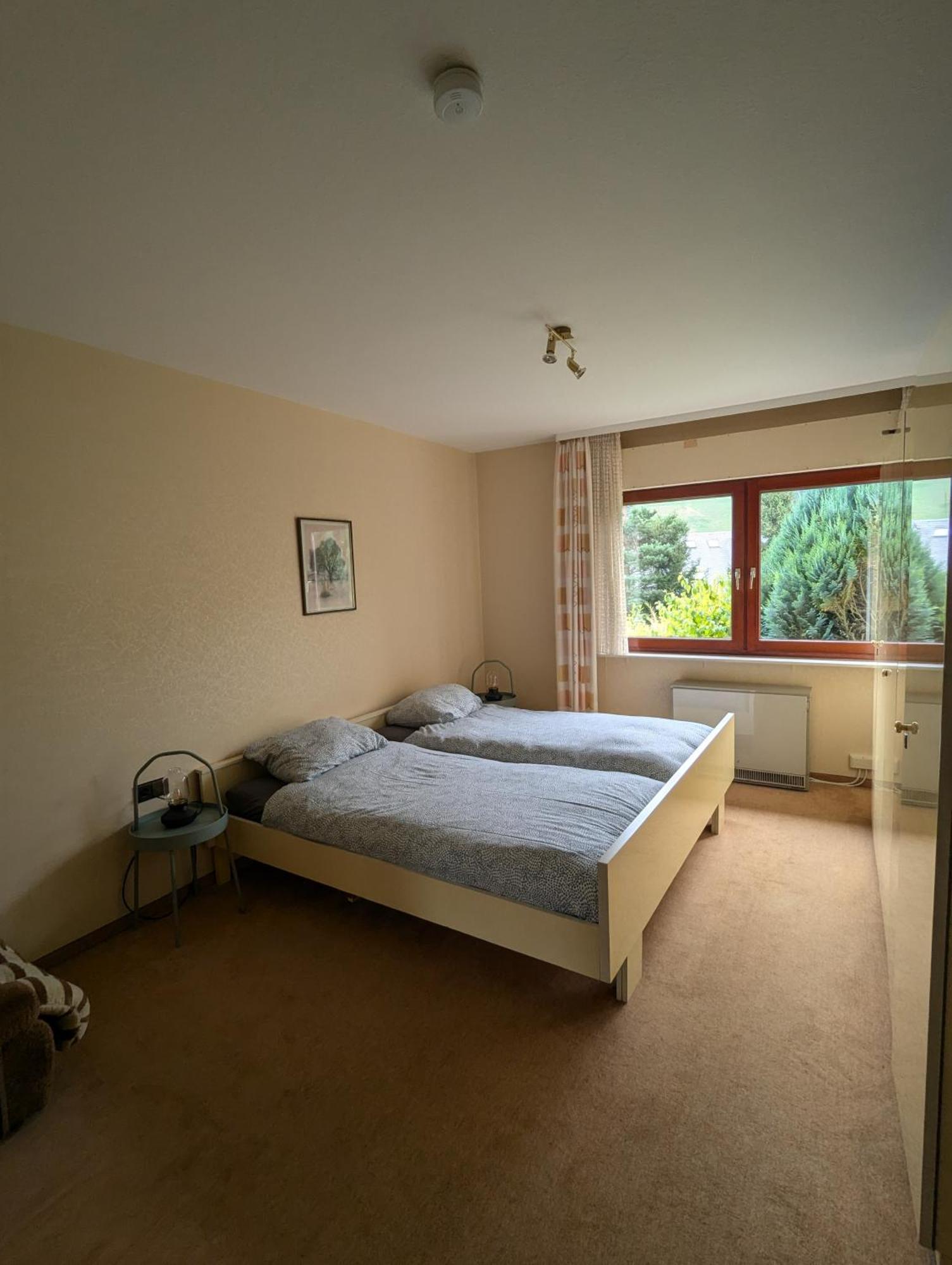 Haus Hannelore Willingen  Kültér fotó