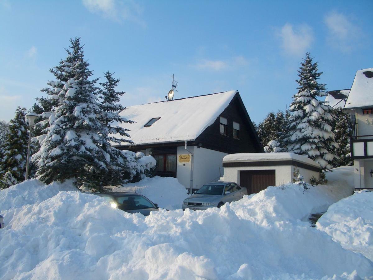 Haus Hannelore Willingen  Kültér fotó
